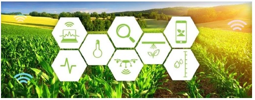 5G y la IoT de Agricultura Inteligente