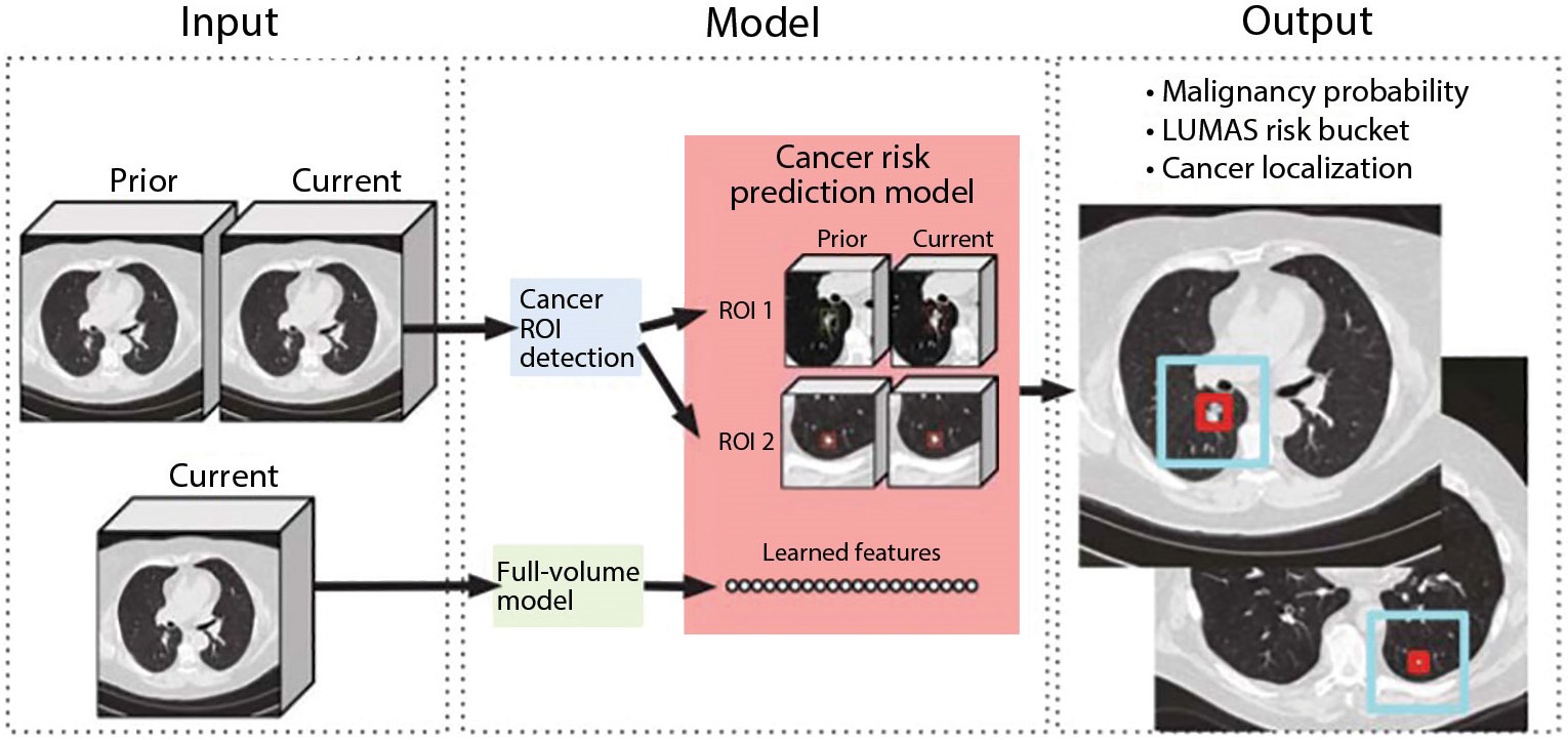 Modelo para detección de cáncer.